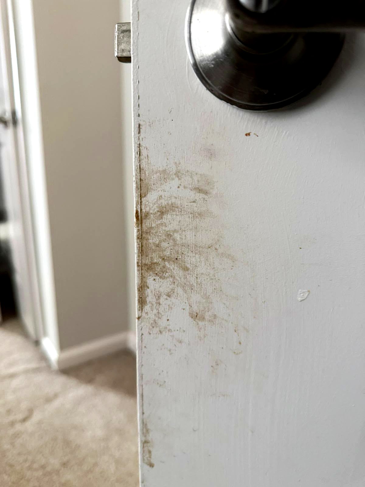 Door / Baseboard Trim Before